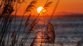 Sunset ocean tallgrass island dusk - a sunset over the ocean free wallpaper
