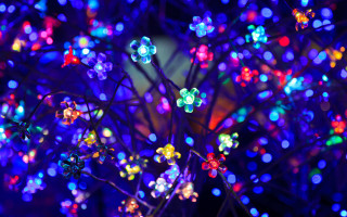 Glowing lights tree night macro - interactive art free wallpaper