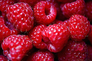 Raspberries water droplets black background - a close up of a bunch free wallpaper