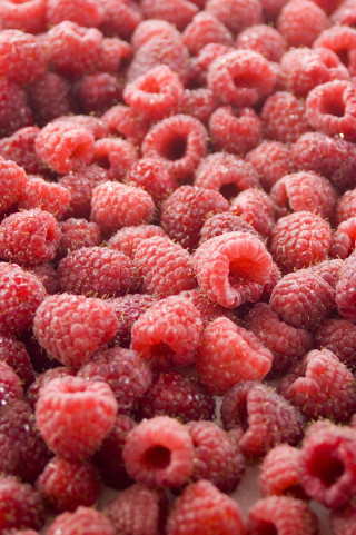 Raspberries closeup water droplets white - a close up of a bunch free wallpaper