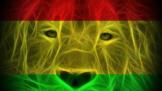 Lion heart shaped mane red - a heart free wallpaper