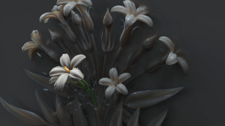 Water flowers drops center generative - ray free wallpaper