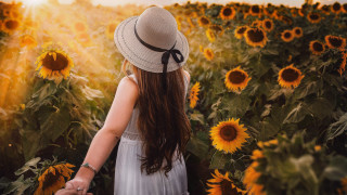 Girl hat sunflowers autumn fireworks - elizabeth durack free wallpaper