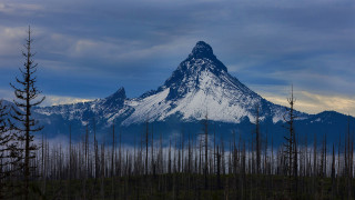 Mountain snow peak forests city - peak in the distance free wallpaper