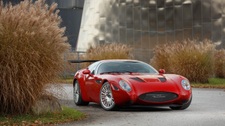 Red sports car street bush - a large window free wallpaper