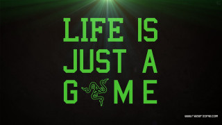 Life is just a game - a green snake free wallpaper