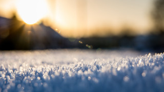 Snowy field sunshine trees building - the tree free wallpaper