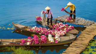 Hats boat flowers water ecological - vibrant colour free wallpaper