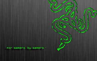 Green lizard black background games - logo free wallpaper