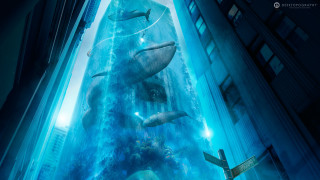 Giant fish city night plane - the middle of a city free wallpaper