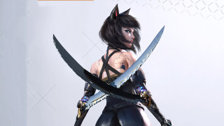 Woman swords cat costume portrait - sharp high detail free wallpaper
