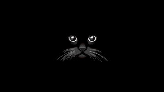 Black cat glowing eyes night 4 - pop surrealism free wallpaper