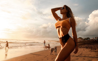 Woman beach ocean dog sunset - the background and a dog free wallpaper