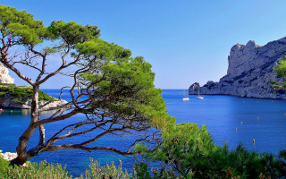 Magical landscape tree water rocks - beautiful landscape free wallpaper for desktop