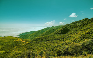 Lush green hillside clouds trees 2 - afewerk tekle free wallpaper