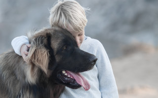 Boy hugging dog mountain portrait - a boy free wallpaper