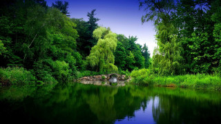 Pond bridge trees grass sky - impressionist free wallpaper