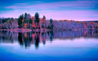 Lake forest purple sky city - mystical free wallpaper