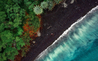 Black sand beach green trees - free bikini wallpaper