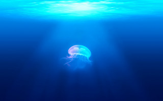 Jellyfish ocean sunlight bubbles rayonism - sunlight free wallpaper