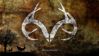 Deer tree grungy background white - concept design free wallpaper