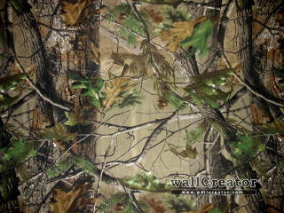 Camouflage background leaves branches nature - a white border free wallpaper