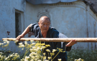 Old man flower field action - fang congyi free wallpaper