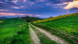 Dirt road green field cloudy 15 - a lush green field under a cloudy sky free wallpaper
