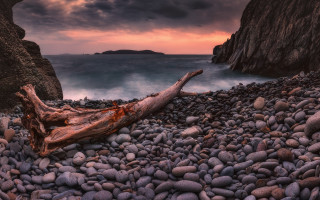 Rocky beach log ocean sunset - mystical free wallpaper