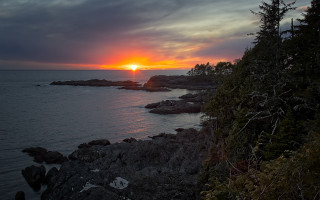 Sunset rocky shore trees water - tree and water free wallpaper