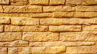 Yellow brick wall cat matte - the wall free wallpaper