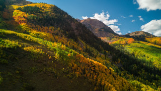 Mountain forest autumn sunset sky - a forest of trees free wallpaper