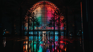 Cyberpunk building reflection palm trees - cyberpunk art free wallpaper