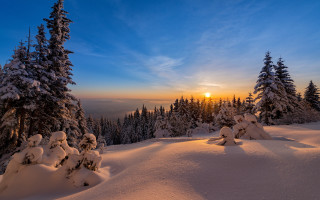 Sunset snowy mountain trees beach - a sunset over a snowy mountain free wallpaper