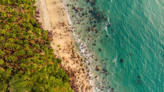 Beach people ocean trees aerial - aerial free wallpaper