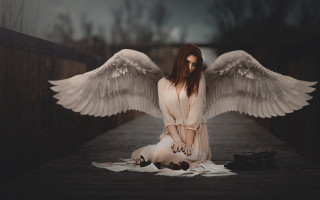 Angel wings sitting brown feathered - a wooden floor next free wallpaper