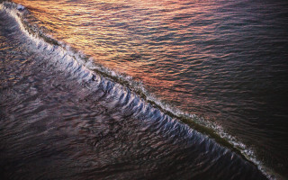Wave sunset ocean nature forest - ocean free wallpaper