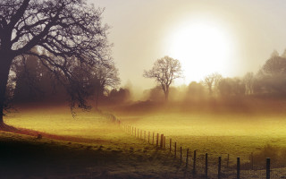 Field fence tree sun fog - volumetric free wallpaper
