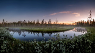 Lake forest sunset mountains fog - wide angle len free wallpaper