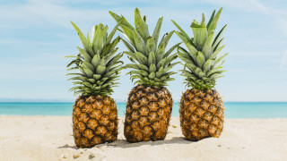 Pineapples beach sand ocean sky - the sand free wallpaper