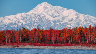Mountain range forest red trees - a body of water in front free wallpaper