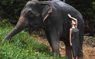 Woman elephant field dress nature - claire dalby free wallpaper for desktop
