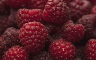 Raspberries closeup macro photorealism red 2 - ripe free wallpaper