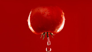 Red apple water drops macro 2 - a red apple free wallpaper