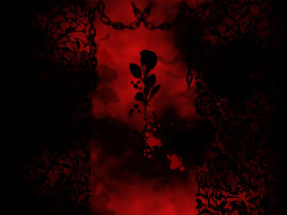 Red rose black background red - chiharu shiota free wallpaper