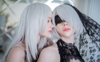 White hair yorha neo romantic - a veil free wallpaper
