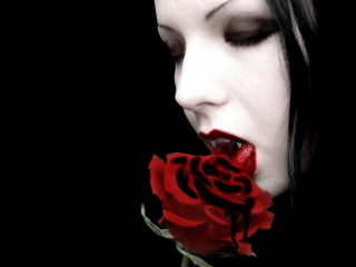 Woman black hair red rose - black hair free wallpaper
