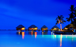 Resort pool dock night lights - the water and palm trees free wallpaper