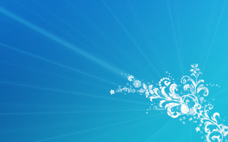 Blue background white floral starburst - floral free wallpaper