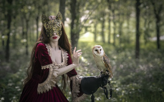 Woman red dress owl forest - fantasy style free wallpaper
